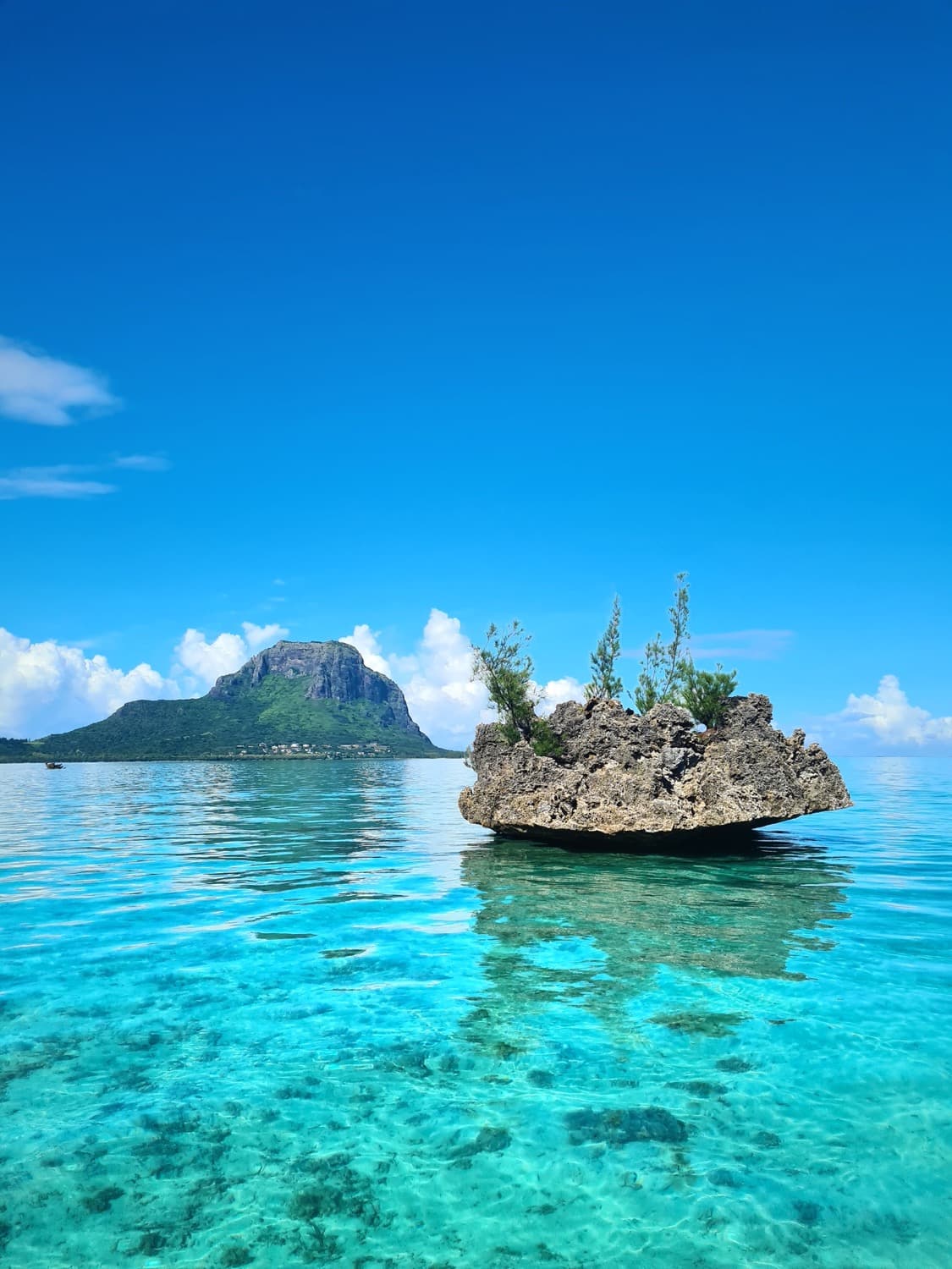 Rocher émergeant du lagon turquoise face au Morne, île Maurice