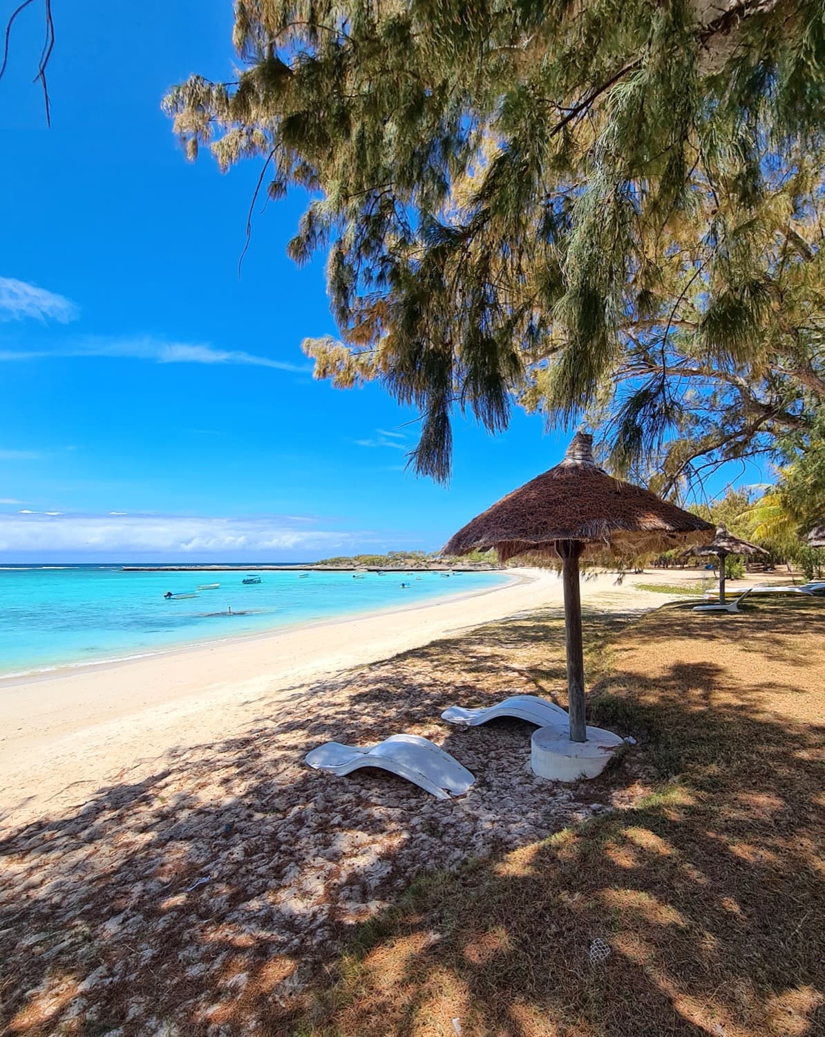 Plage tranquille et parasol sous les filaos à Rodrigues
