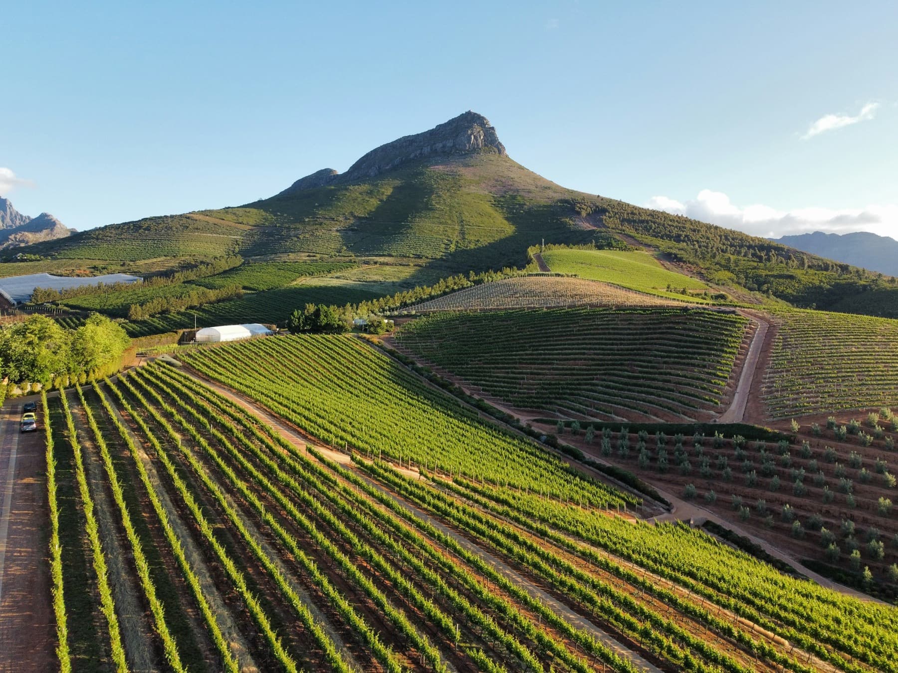 Vignobles de la région du Cap, Afrique du Sud