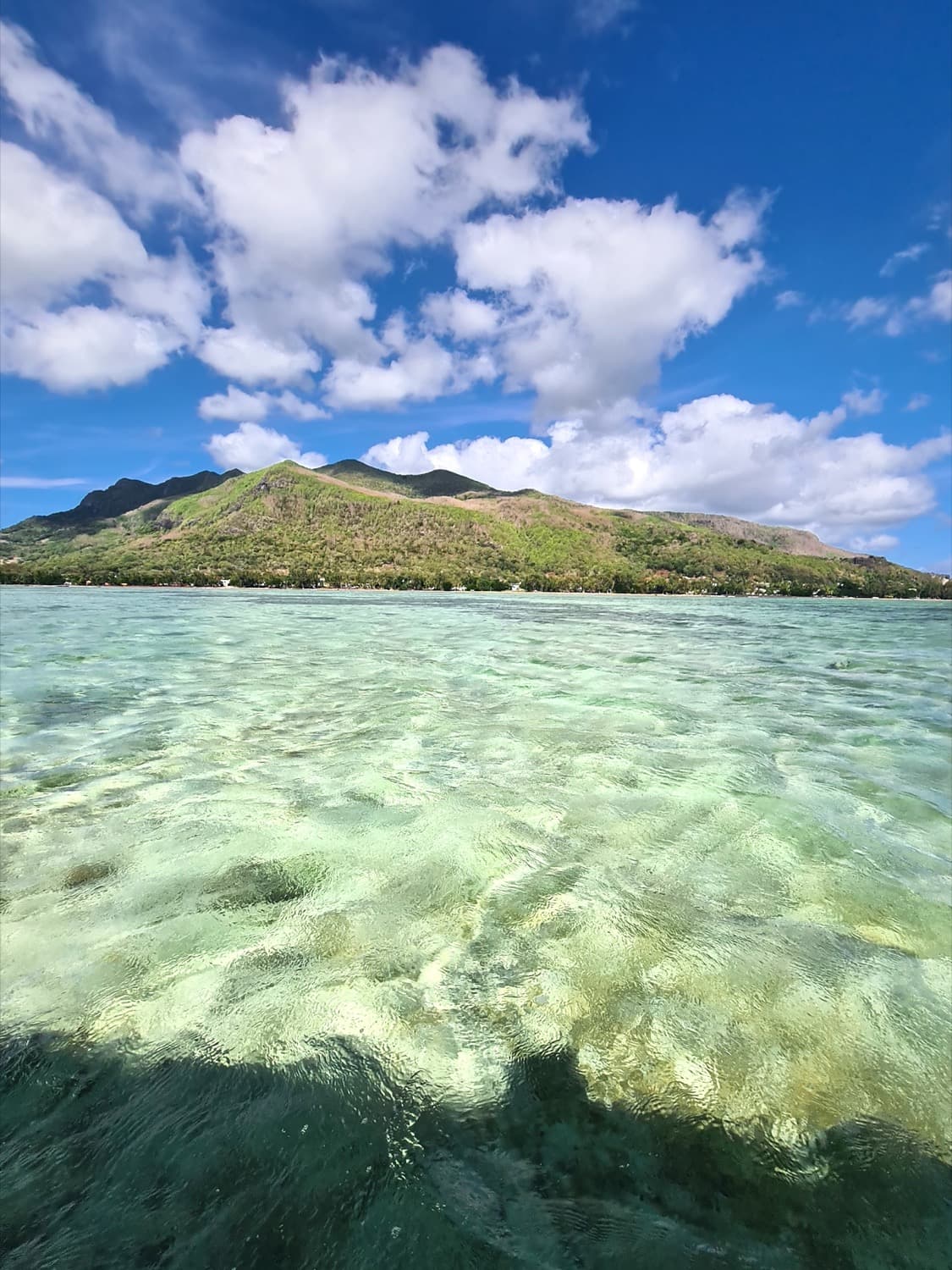 Les eaux cristallines de l'île aux Bénitiers, île Maurice