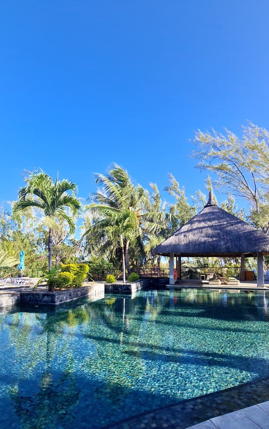 Piscine et jardin tropical d'un hôtel de charme à l'île Maurice