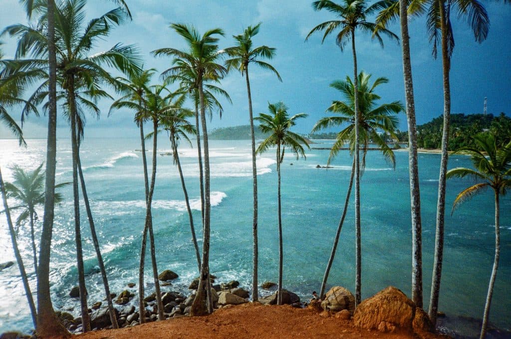 Faut-il un chauffeur-guide au Sri Lanka ? Le bon choix pour votre itinéraire