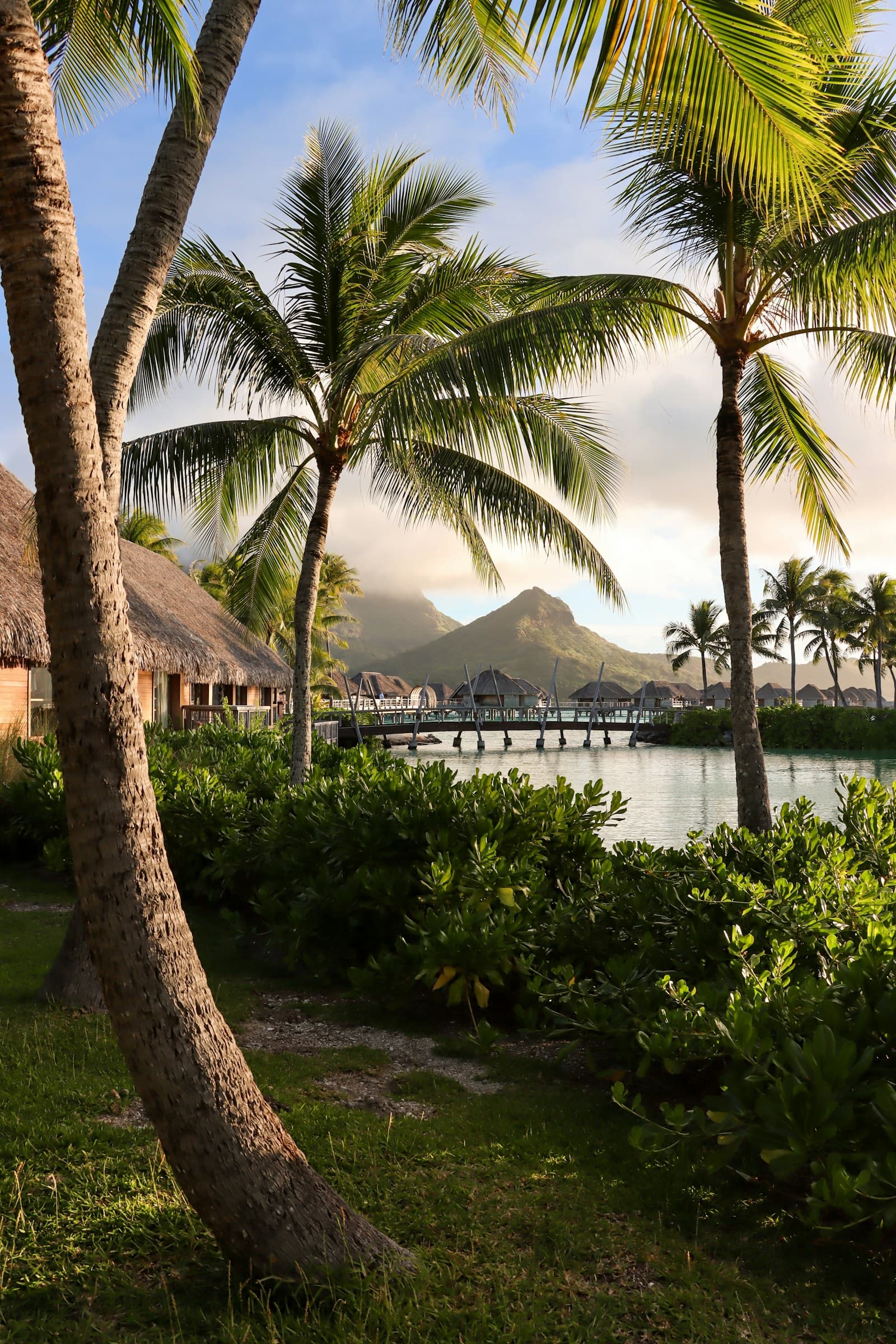 Bungalows et palmiers face au lagon de Bora Bora, en Polynésie française