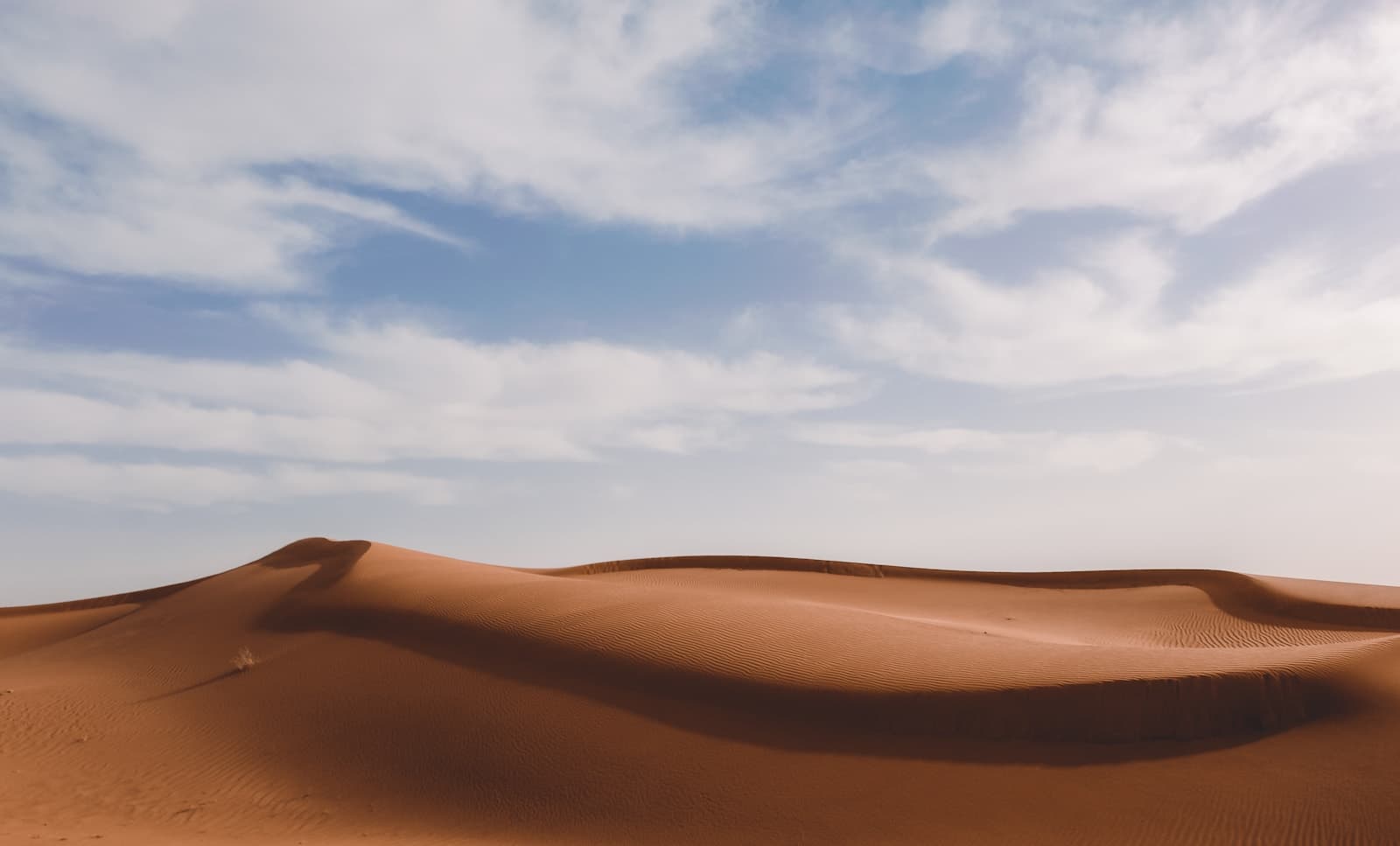 Grande dune dorée dans le désert du Sahara