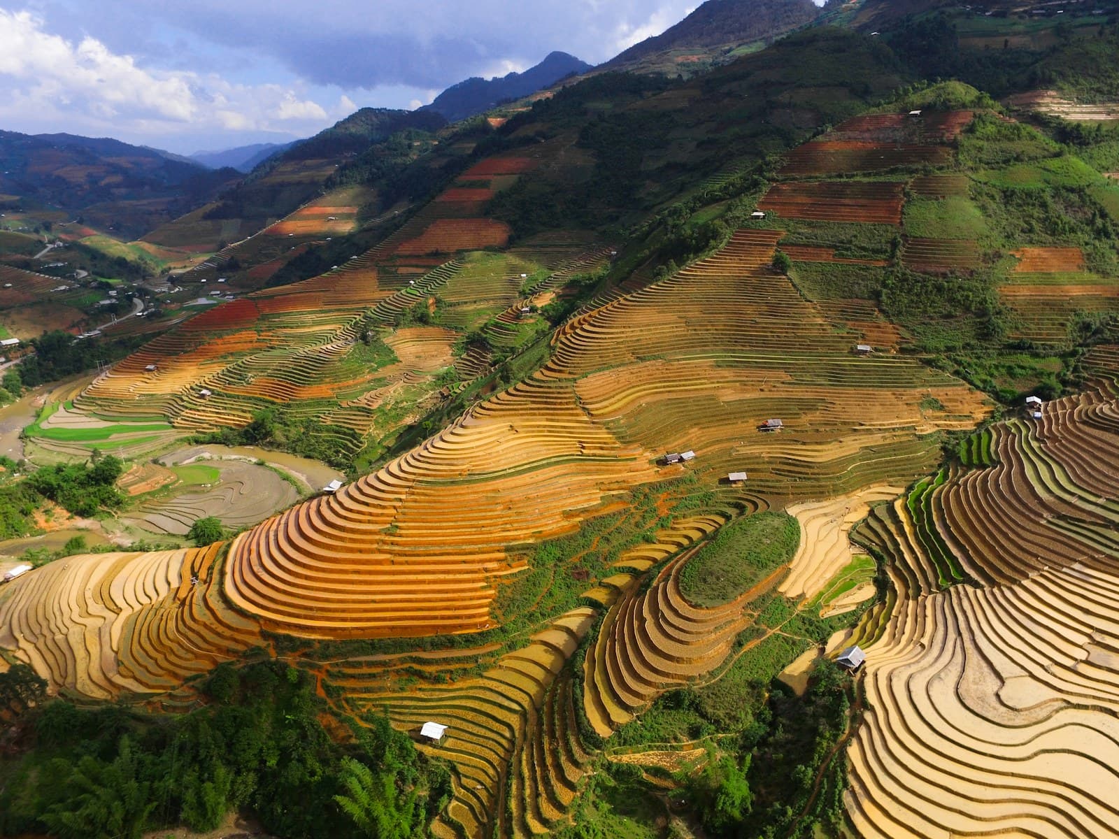 Rizières en terrasses dans les montagnes du Vietnam