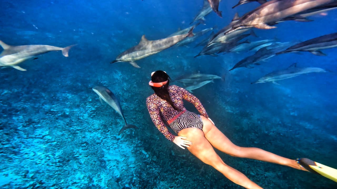 Anaïs nage avec des dauphins au large de l'île Maurice